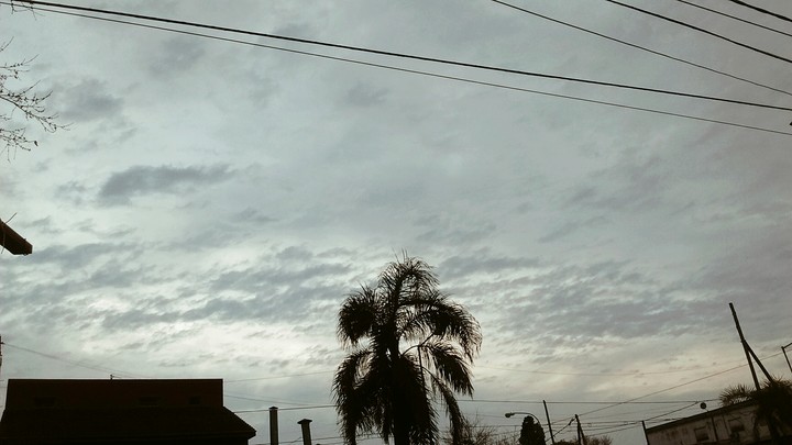 morning