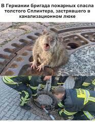Я когда это увидела сразу начала ржать