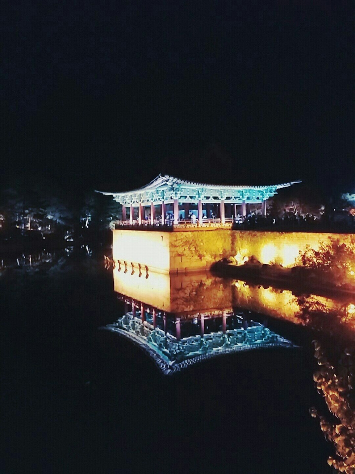 물에 비치는