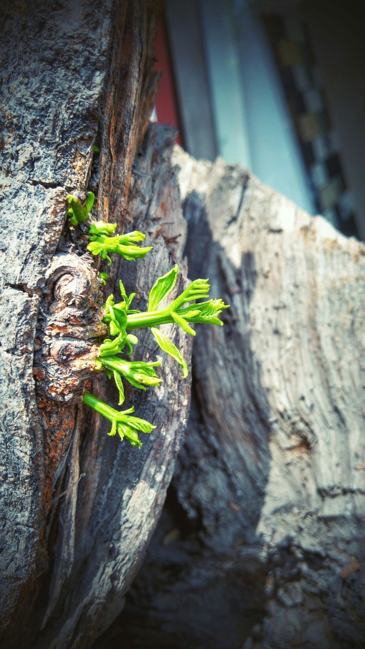 reaching out