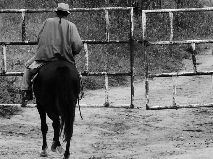 cavaleiro solitário