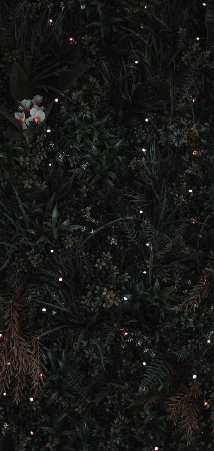 Darkness
