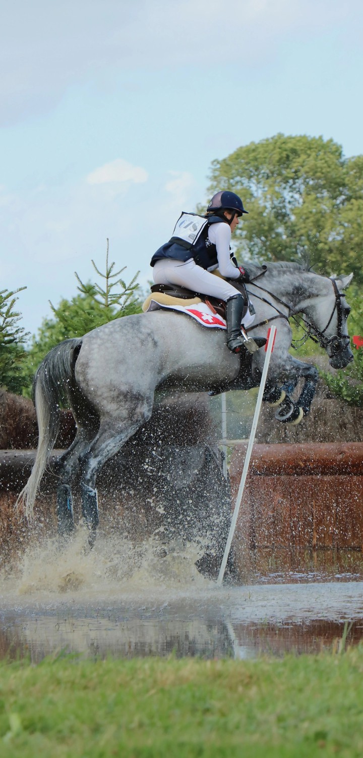 horsemanship