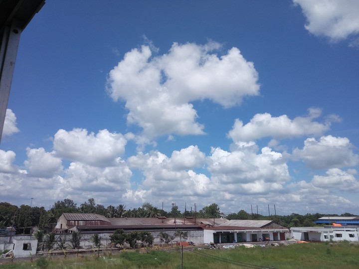 school of clouds