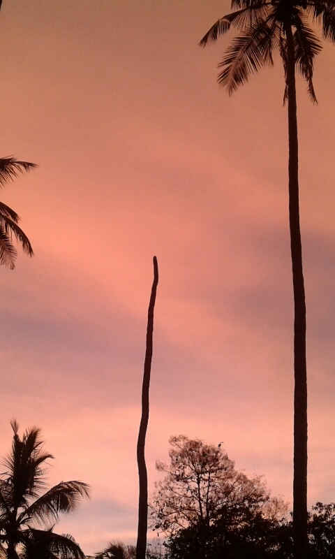 dark sky