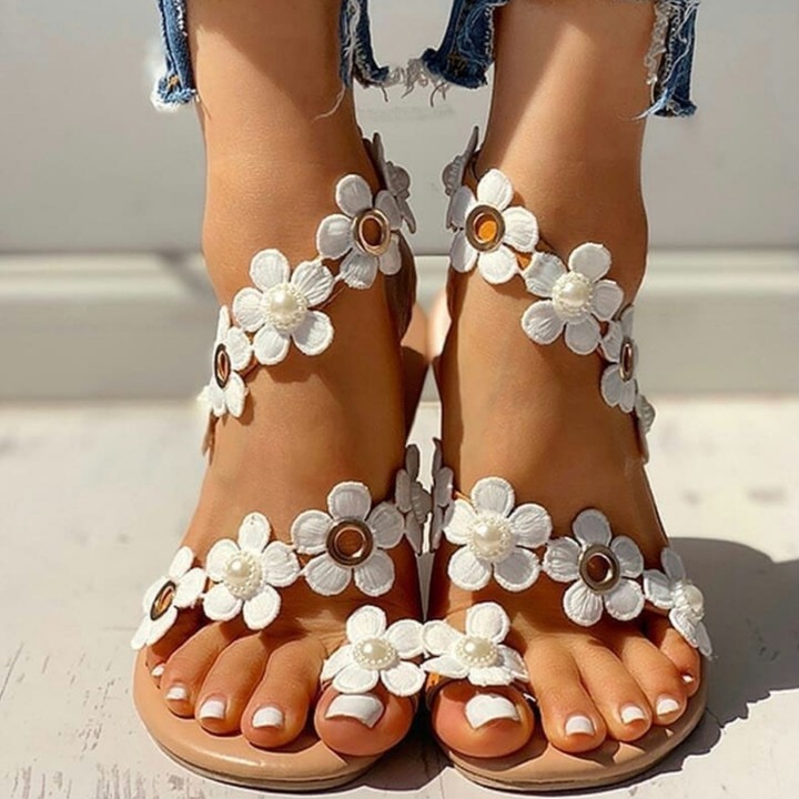 ⚪⚪⚪⚪⚪