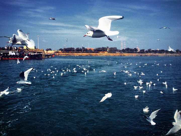 the sea