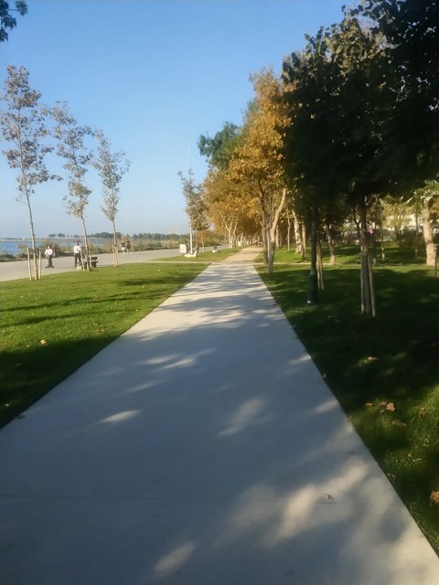 Grass, Road_surface, Public_space