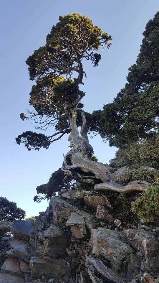 屹立不搖