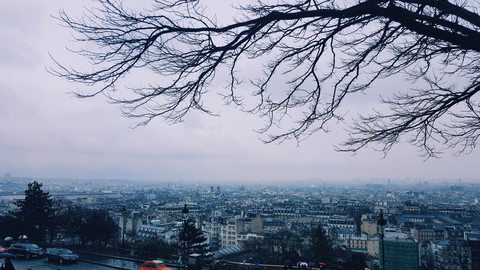 a bit of Paris