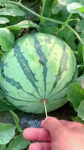 ??