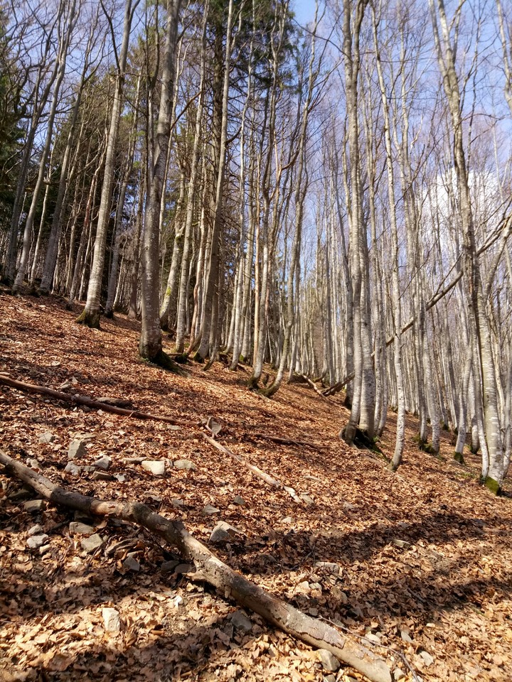 autumn in the May