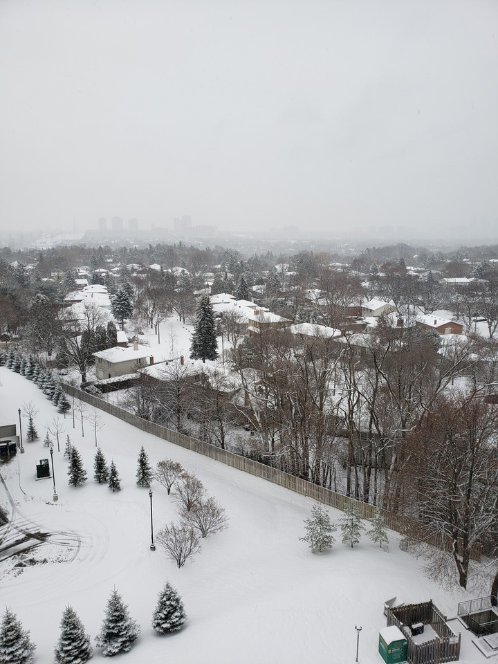 winter in gta