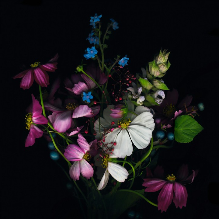 amoled flowers