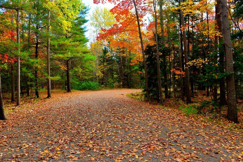 Acadia National Park, Maine, usa