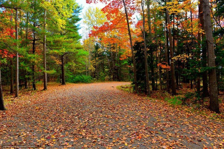 Acadia National Park, Maine, usa