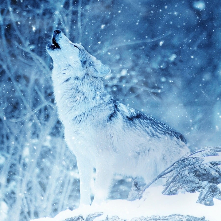 .