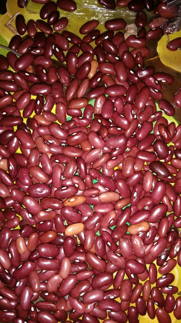 Red Beans