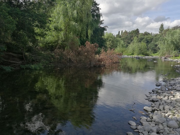 río