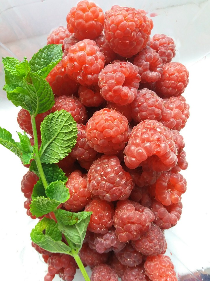 raspberries