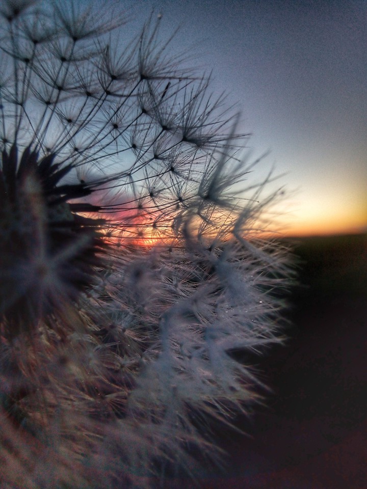 природа