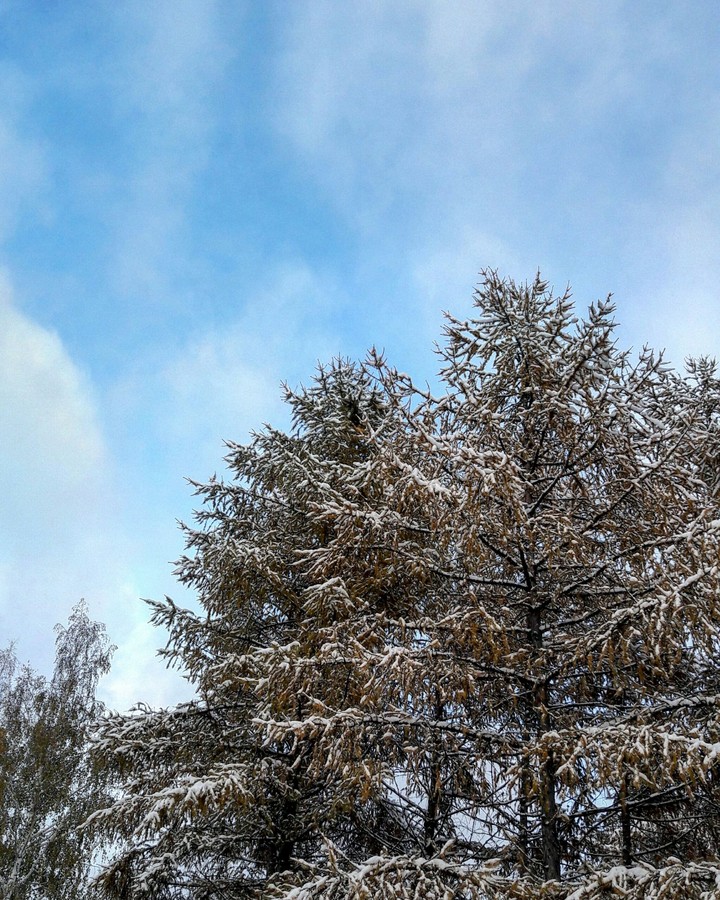 winter