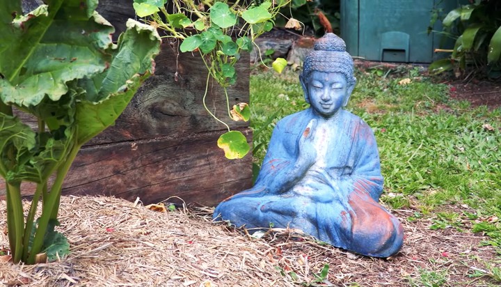 buddha