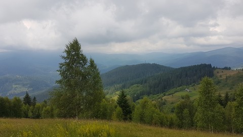 Karpaty