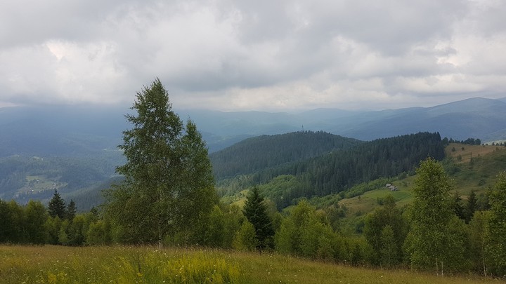 Karpaty