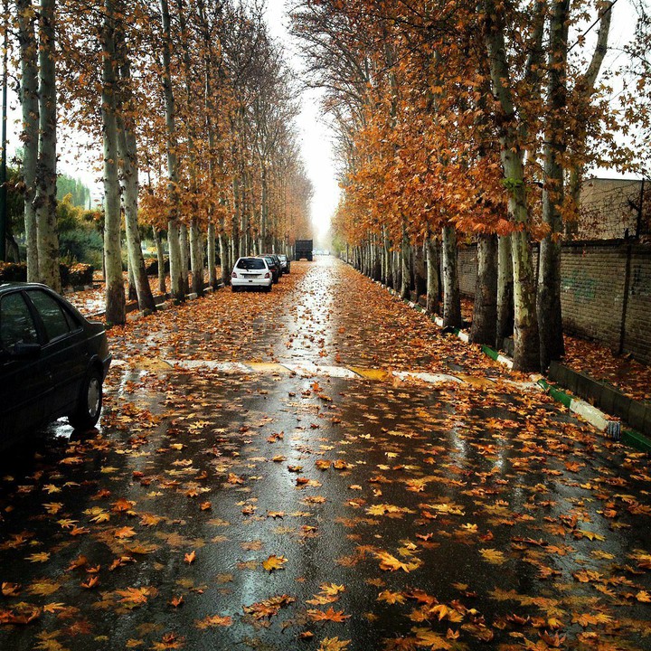 autumn in our neighborhood