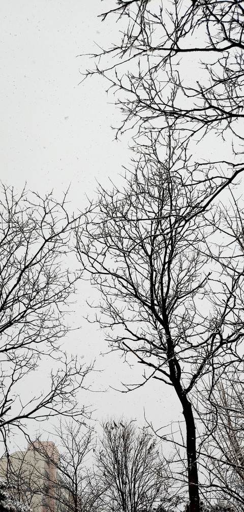 snow