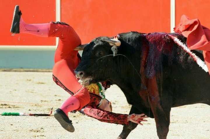 espagne toro games
