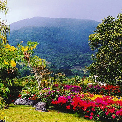 NATURAL LANDSCAPE