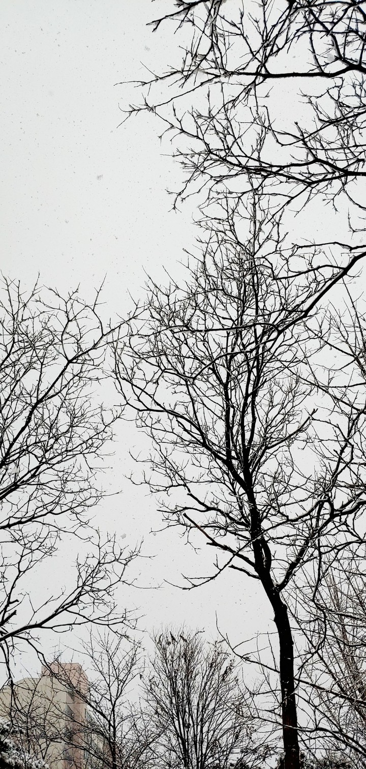 snow