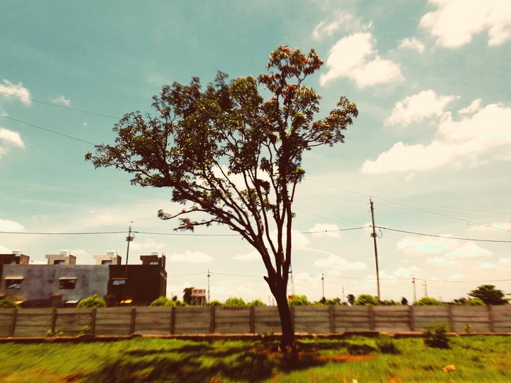 long route