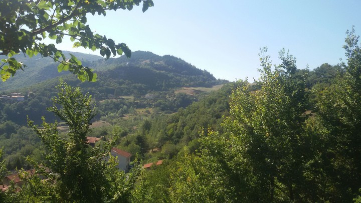 Nature