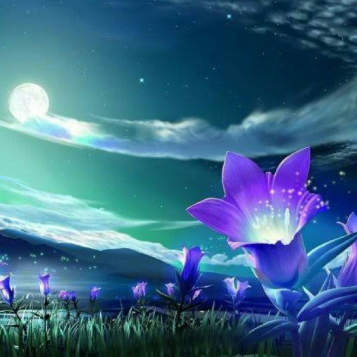 Mgic of Night....& its lovely Beauty!!