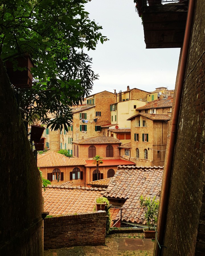 Random Rooftops