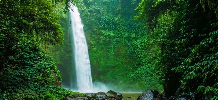Nature beauty