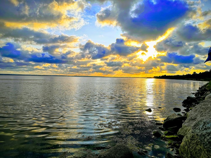Beauty Sea