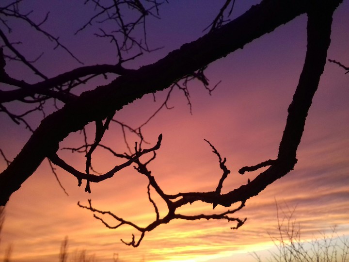 Some things are just beautiful