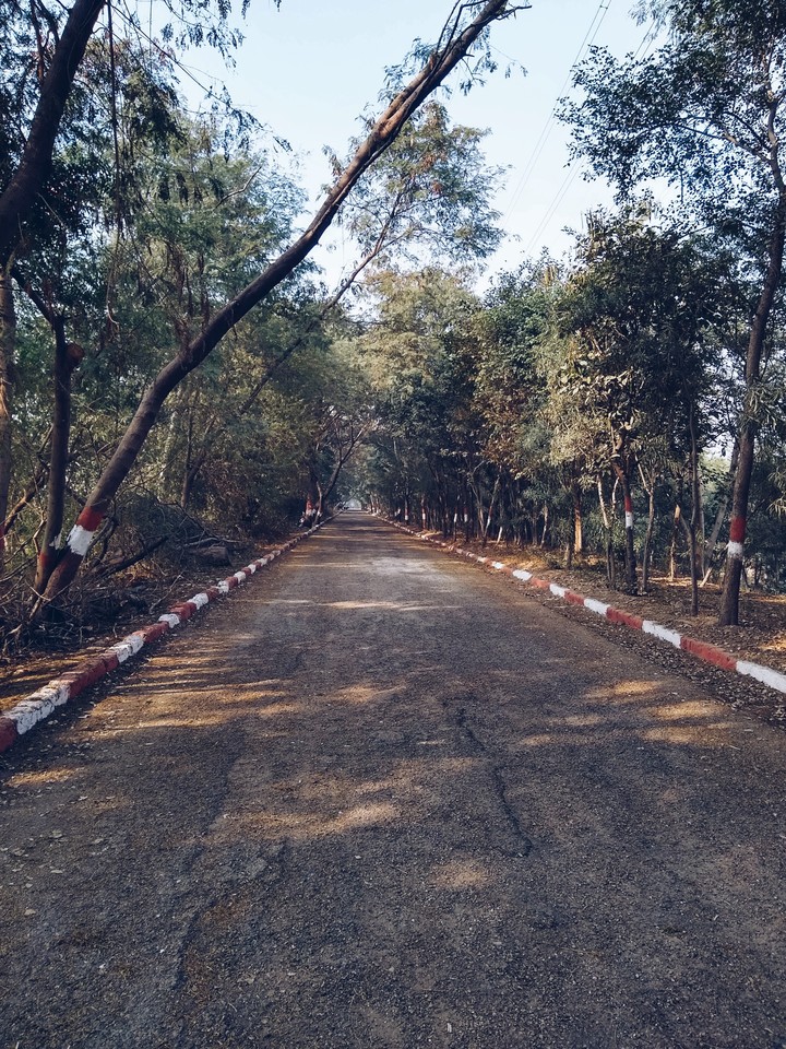 Way 