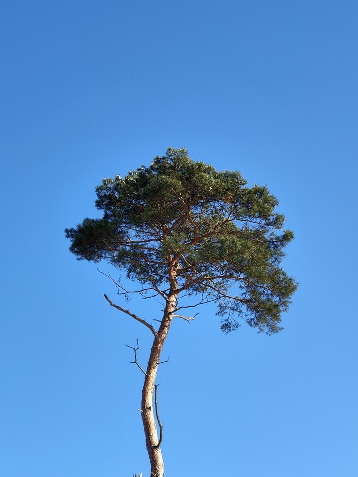 blauwe winter hemel