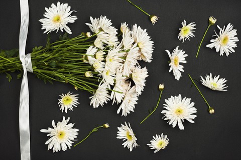 Chrysanthemums