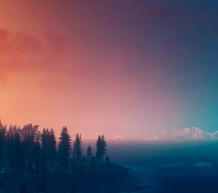 forests