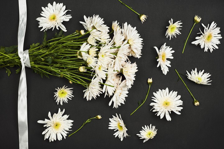 Chrysanthemums