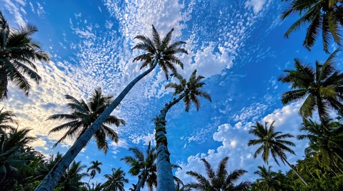 blue, Cumulus wallpapers