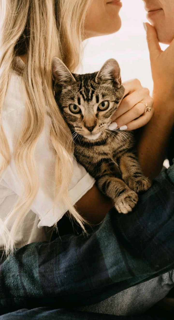 ayyyyy my kitty with u ❤❤❤