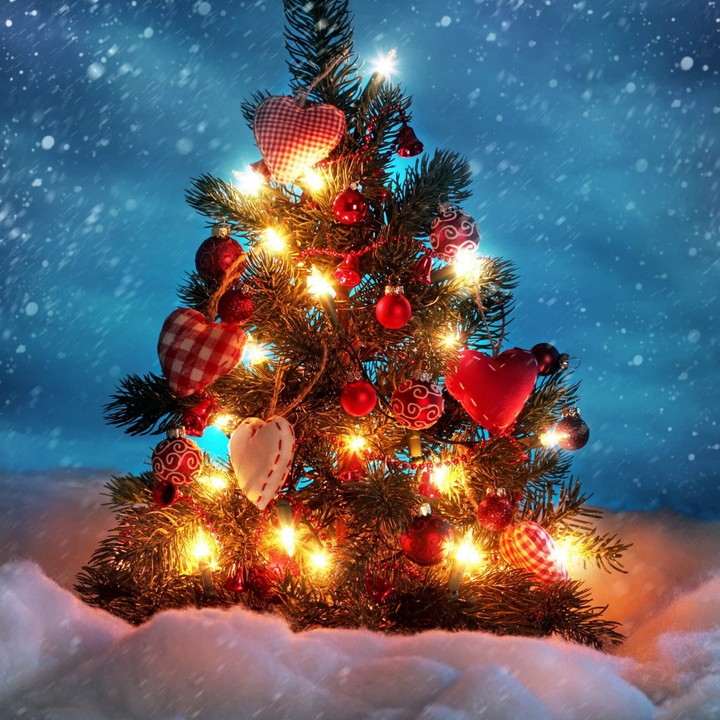 MERRY CHRISTMAS