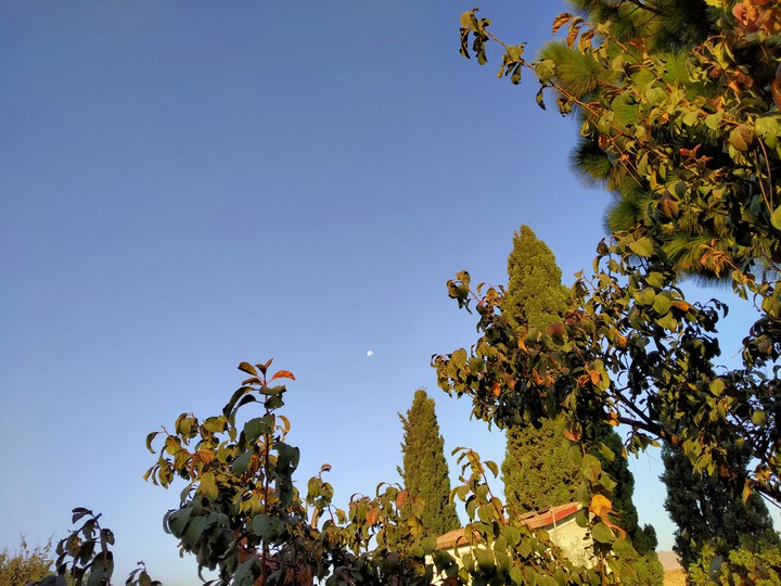 moon